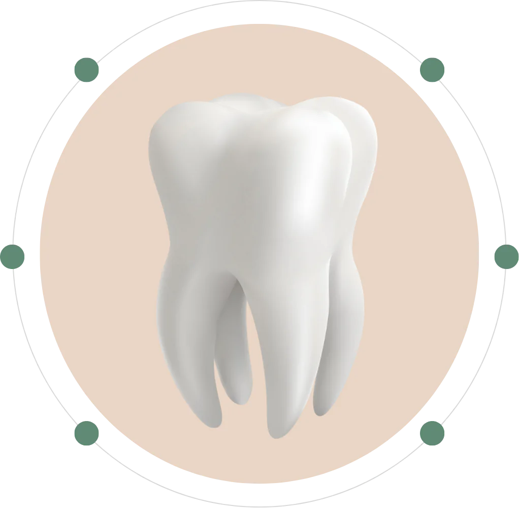 3d tooth
